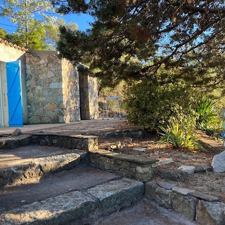 Villa Vue Mer Lumio  Εξωτερικό φωτογραφία
