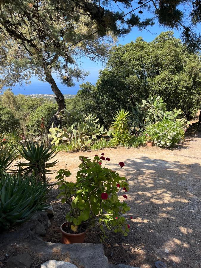 Villa Vue Mer Lumio  Εξωτερικό φωτογραφία